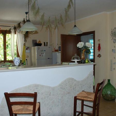 Bed & Breakfast Latteletto Tortoreto Zewnętrze zdjęcie