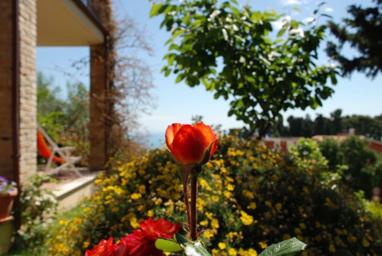 Bed & Breakfast Latteletto Tortoreto Zewnętrze zdjęcie